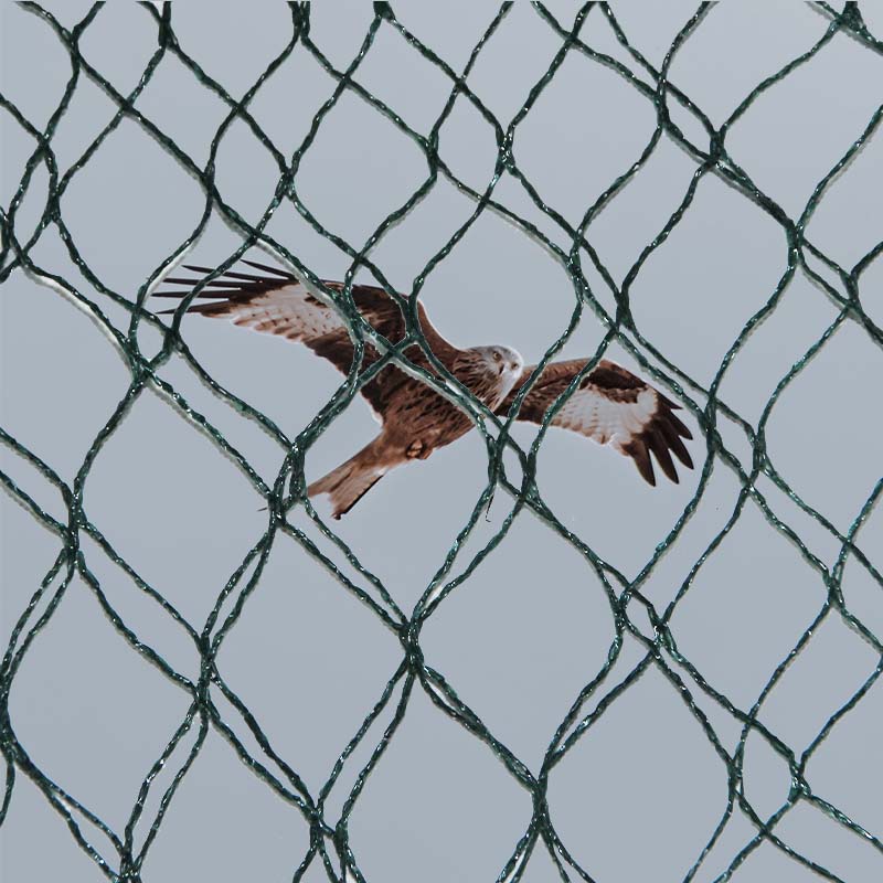 পাখি প্রতিরোধ জালের উপাদানগত পছন্দ এবং সুবিধা এবং অসুবিধাগুলি কী কী?