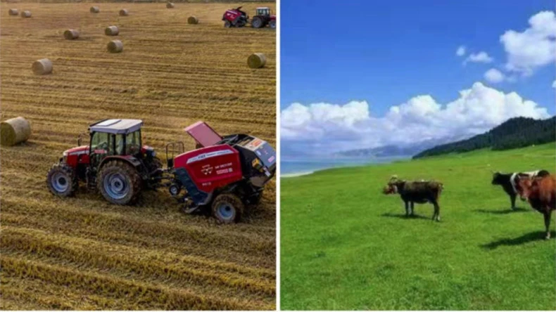 কৃষি কার্যক্রমে বেল নেট র‍্যাপের প্রয়োগ