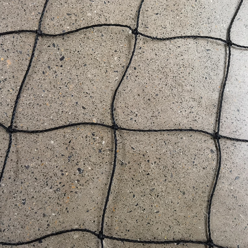 ক্রিকেট নেটের ভূমিকা