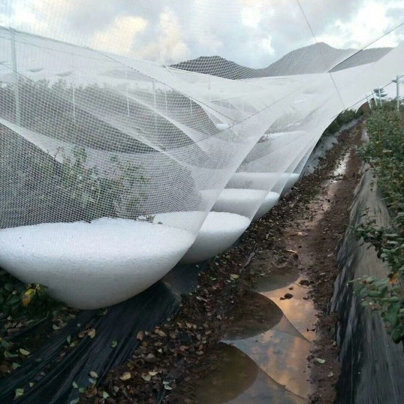 শিলাবৃষ্টি জাল কি?