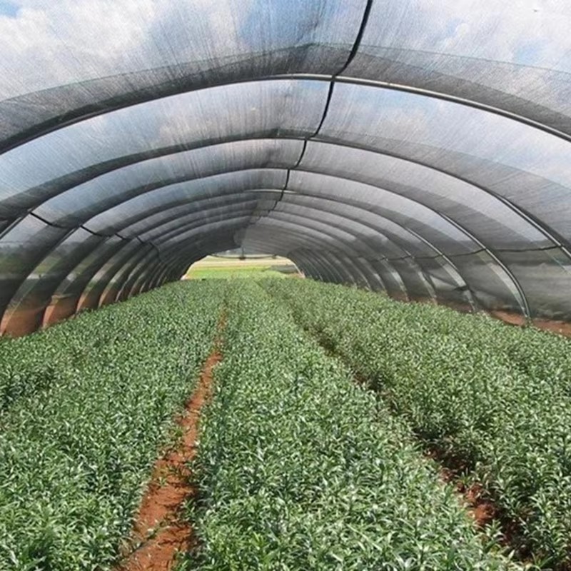 গাছপালা জন্য গার্ডেন শেড কাপড় 40% রোদ অবরুদ্ধ